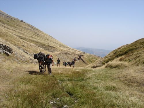 trekking con i muli-9.jpg
